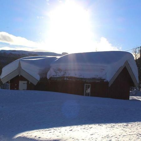 Gamlestugu Hytte Ål Buitenkant foto