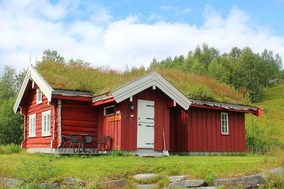 Gamlestugu Hytte Ål Buitenkant foto