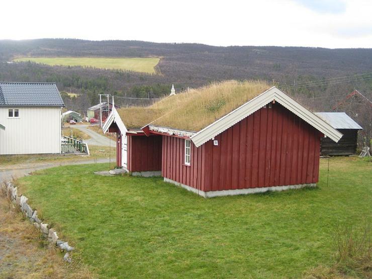 Gamlestugu Hytte Ål Buitenkant foto